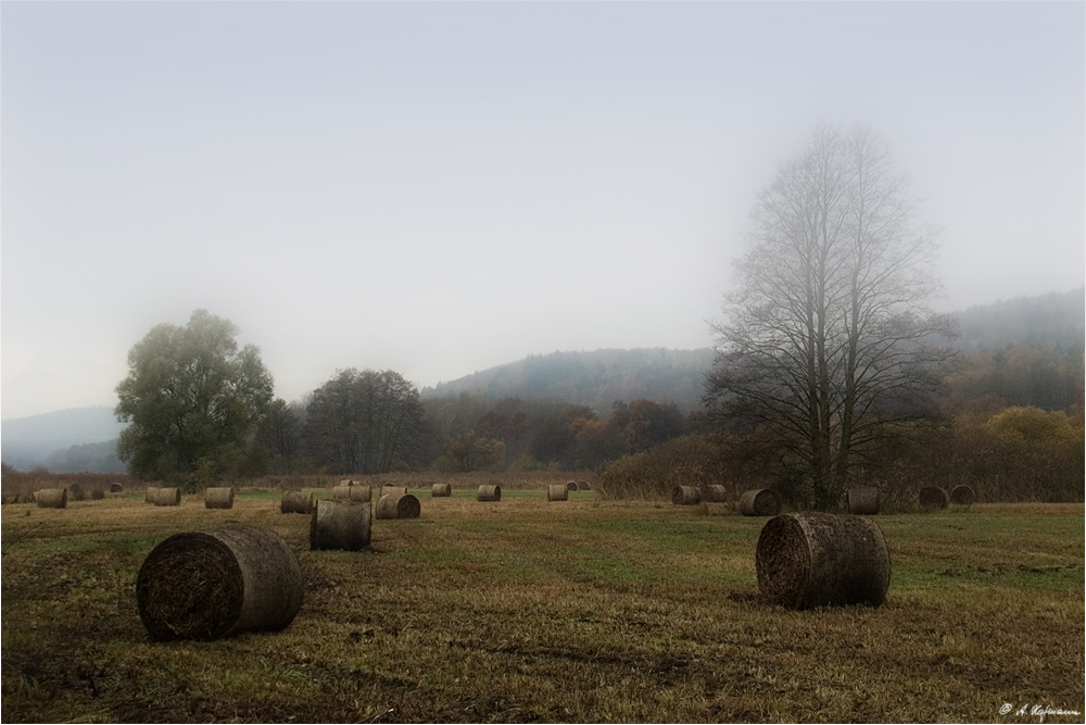 impressionen vom herbst