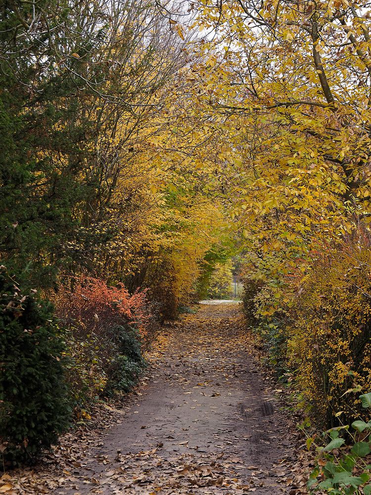 Impressionen vom Herbstmarkt im Park von Wasserschloss Hülshoff ...