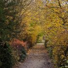 Impressionen vom Herbstmarkt im Park von Wasserschloss Hülshoff ...