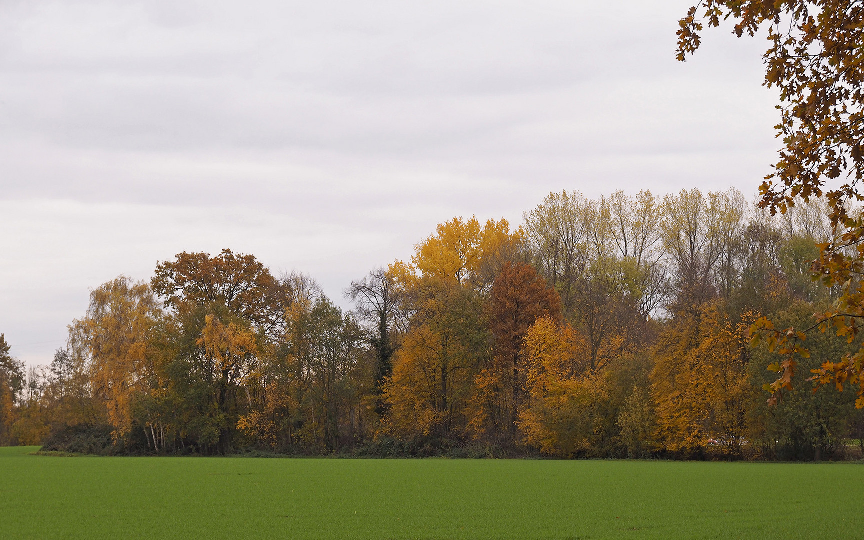 Impressionen vom Herbstmarkt im Park von Wasserschloss Hülshoff ...