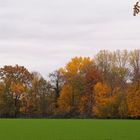 Impressionen vom Herbstmarkt im Park von Wasserschloss Hülshoff ...