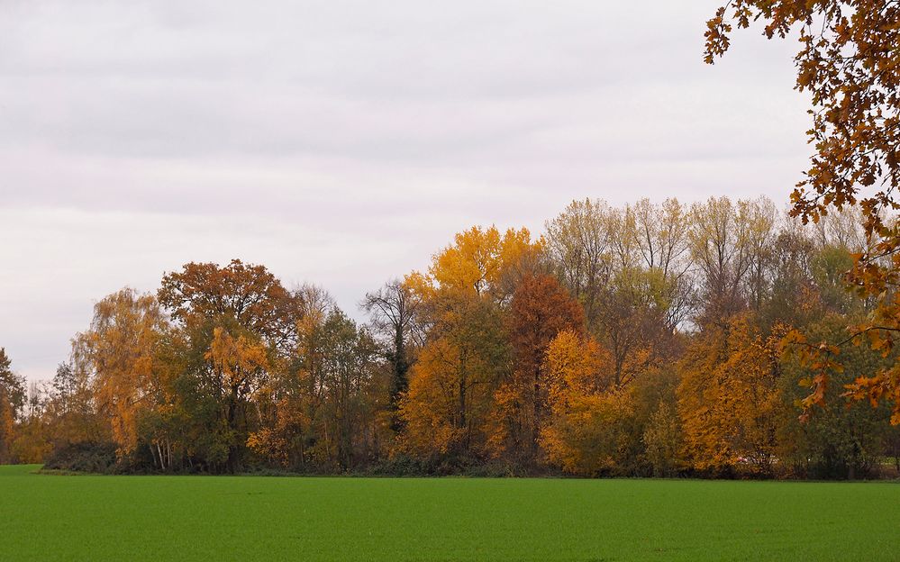 Impressionen vom Herbstmarkt im Park von Wasserschloss Hülshoff ...