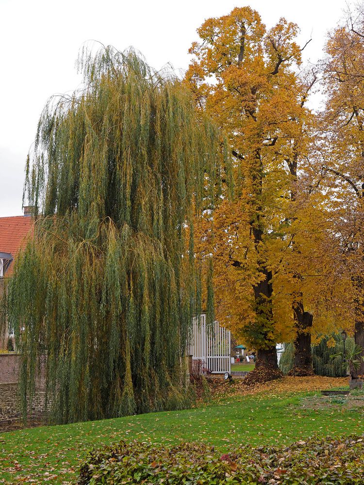 Impressionen vom Herbstmarkt im Park von Wasserschloss Hülshoff ...