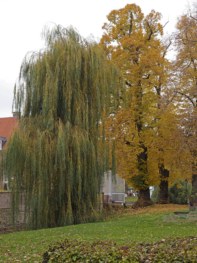 Impressionen vom Herbstmarkt im Park von Wasserschloss Hülshoff ...