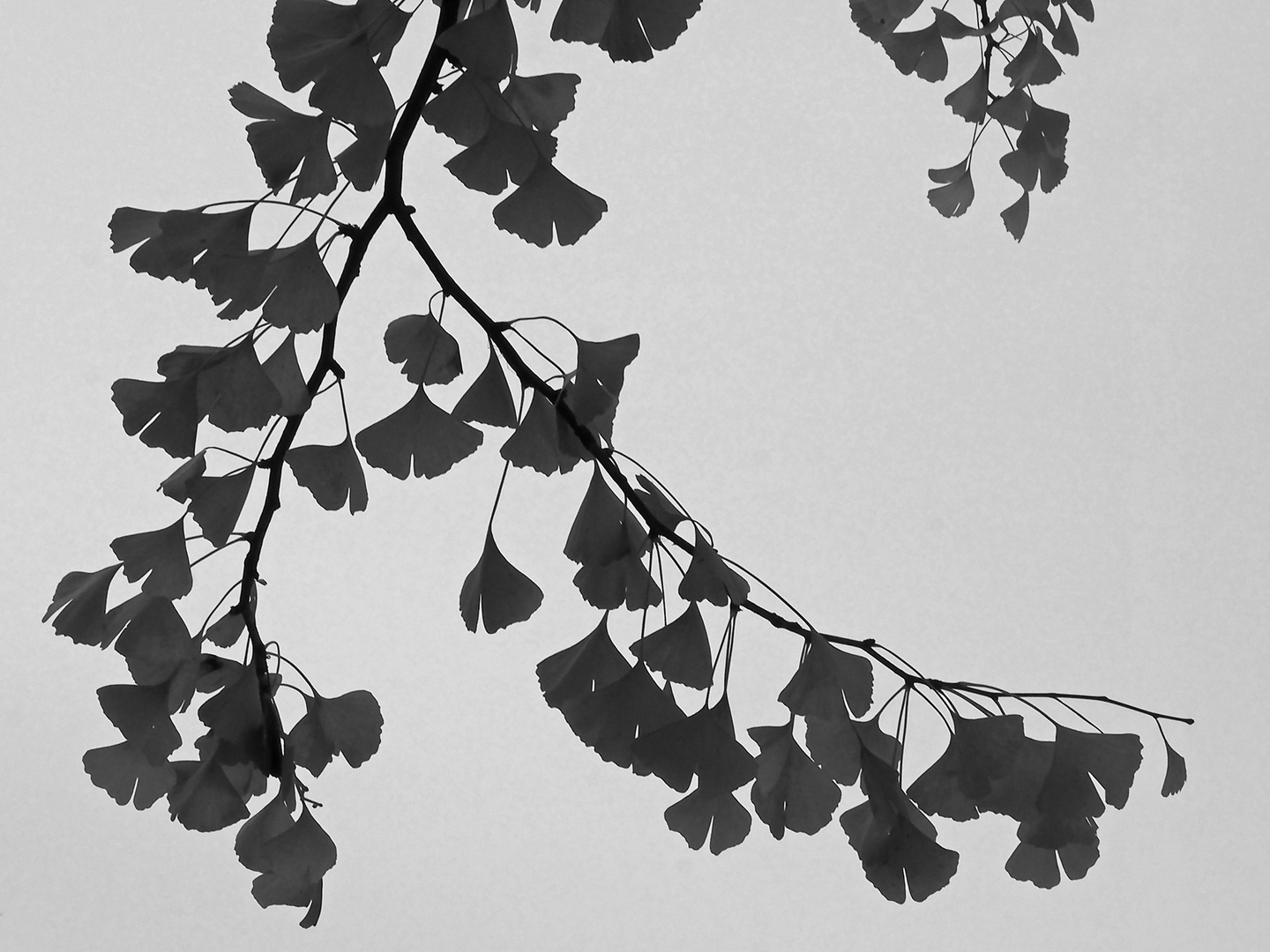 Impressionen vom Herbstmarkt im Park von Wasserschloss Hülshoff ...