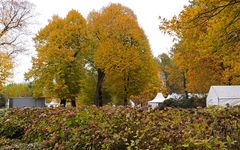 Impressionen vom Herbstmarkt im Park von Wasserschloss Hülshoff ...