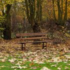 Impressionen vom Herbstmarkt im Park von Wasserschloss Hülshoff ...