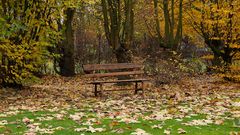 Impressionen vom Herbstmarkt im Park von Wasserschloss Hülshoff ...