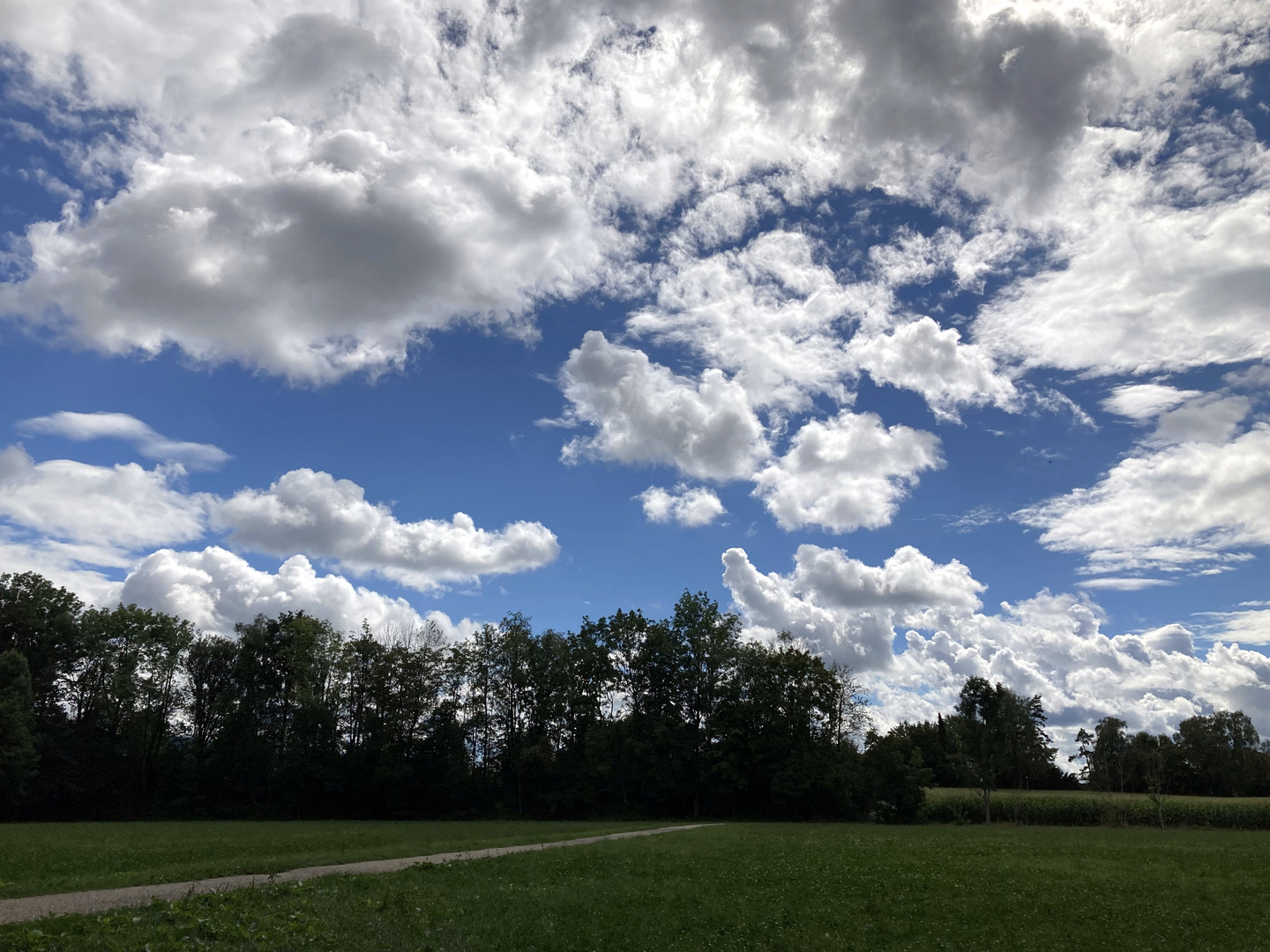 Impressionen vom Himmel über Zürich