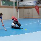 Impressionen vom Hockey