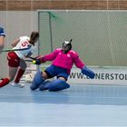 Impressionen vom Hockey