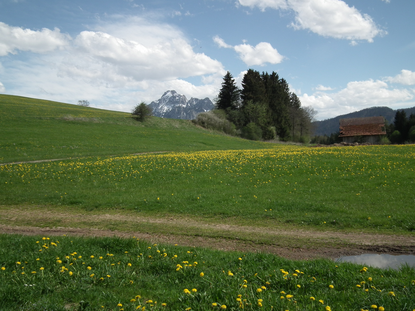 Impressionen vom Hopfensee 2