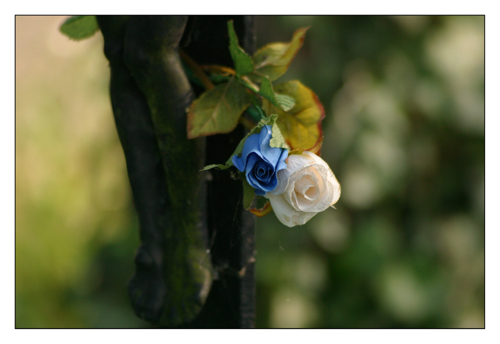 Impressionen vom Kapellenfriedhof (IV)