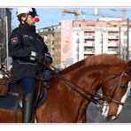 Impressionen vom Karneval