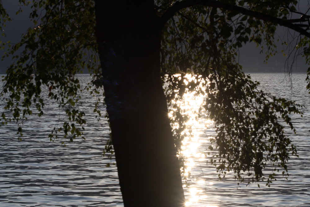 Impressionen vom Lago Maggiore