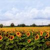 Impressionen vom Niederrhein