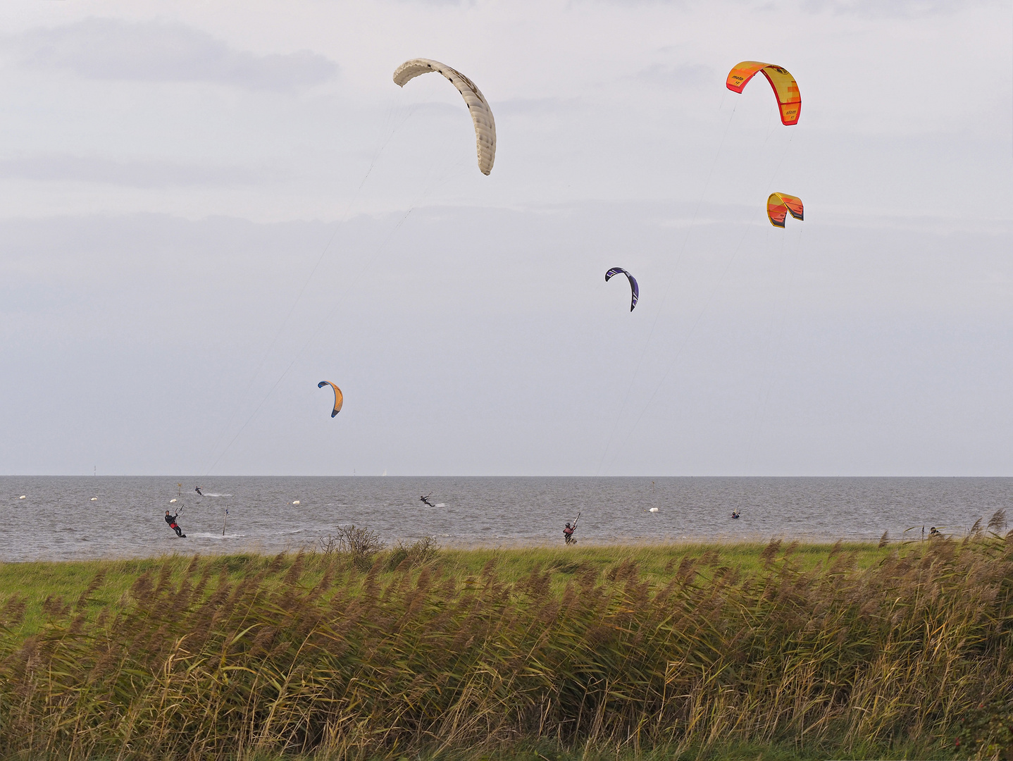 Impressionen vom Nordsee-Revier bei Cuxhaven-Sahlenburg