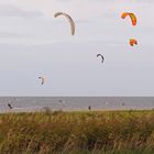 Impressionen vom Nordsee-Revier bei Cuxhaven-Sahlenburg