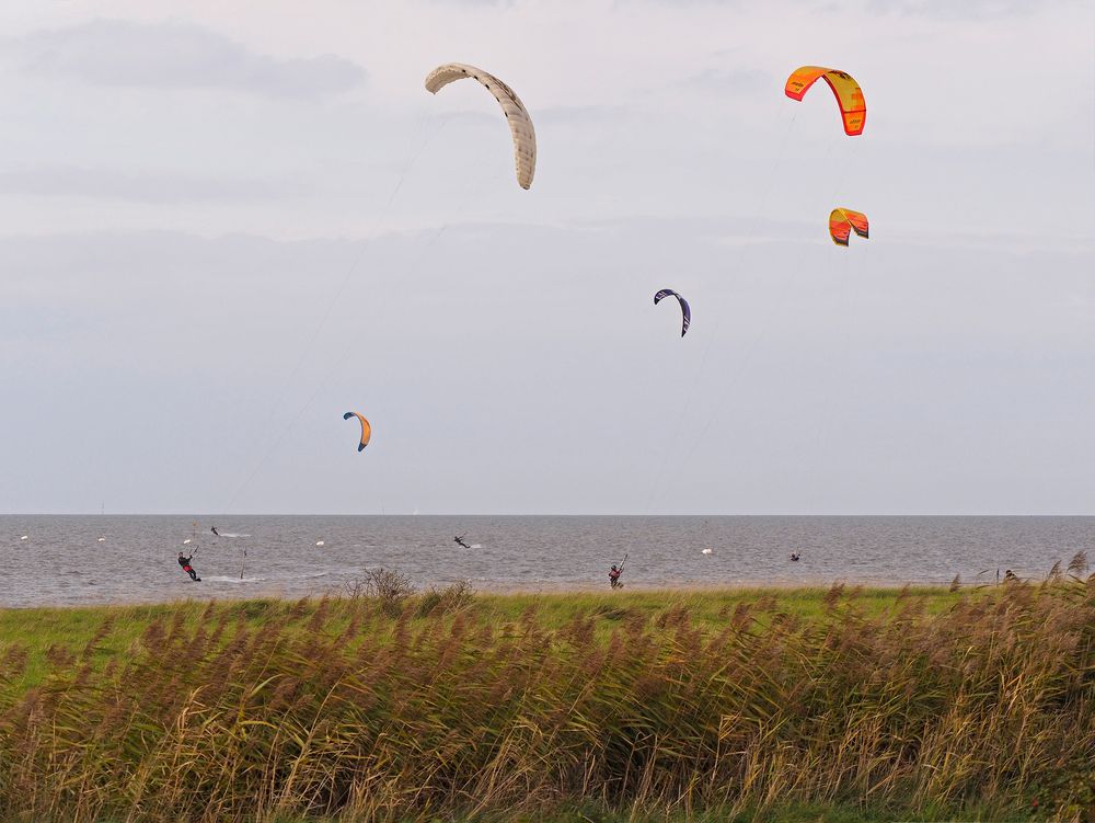 Impressionen vom Nordsee-Revier bei Cuxhaven-Sahlenburg