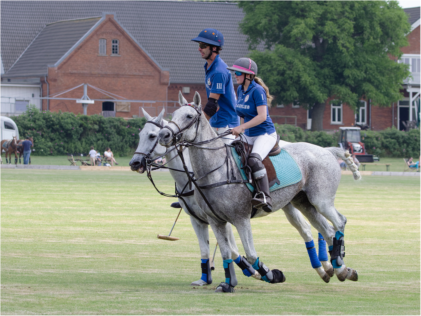 Impressionen vom Polo