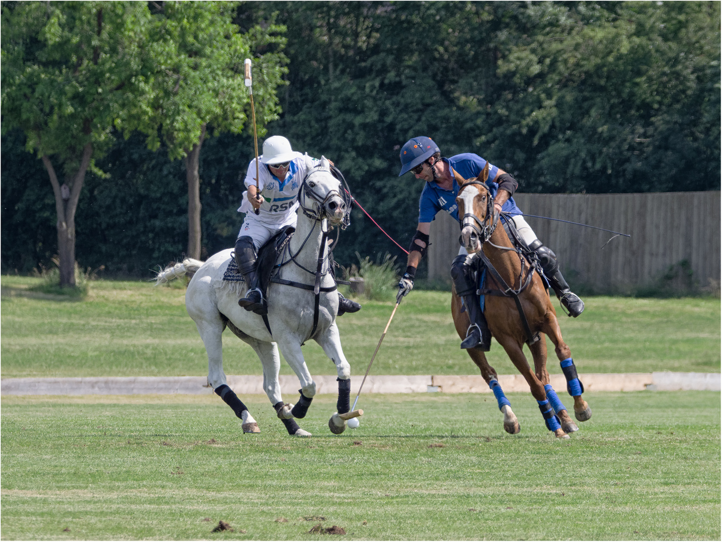 Impressionen vom Polo