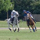 Impressionen vom Polo