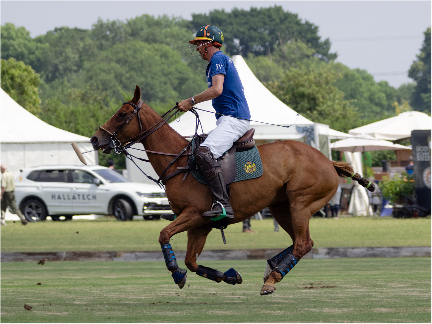 Impressionen vom Polo