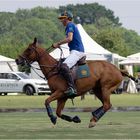 Impressionen vom Polo