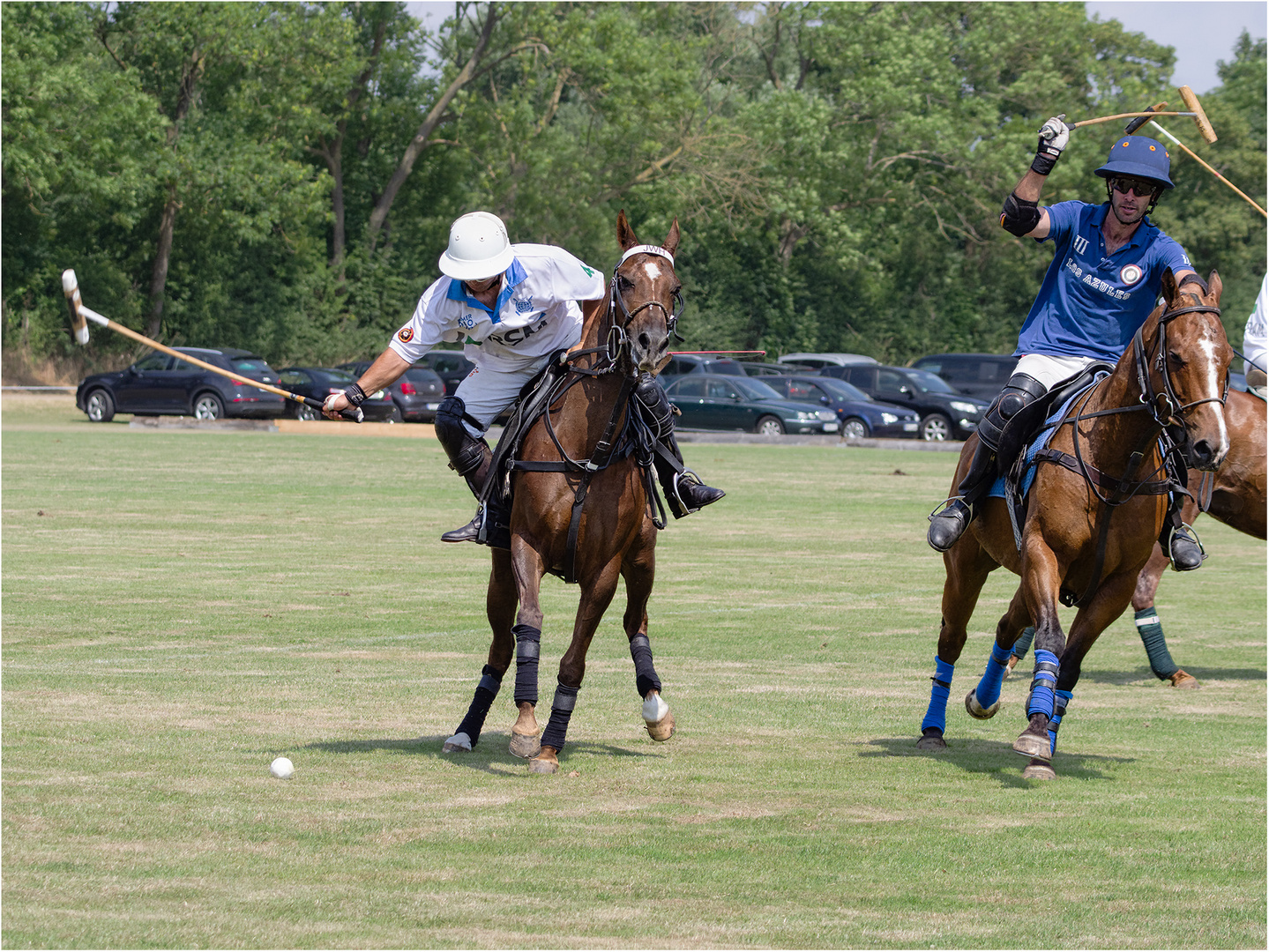 Impressionen vom Polo