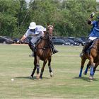 Impressionen vom Polo