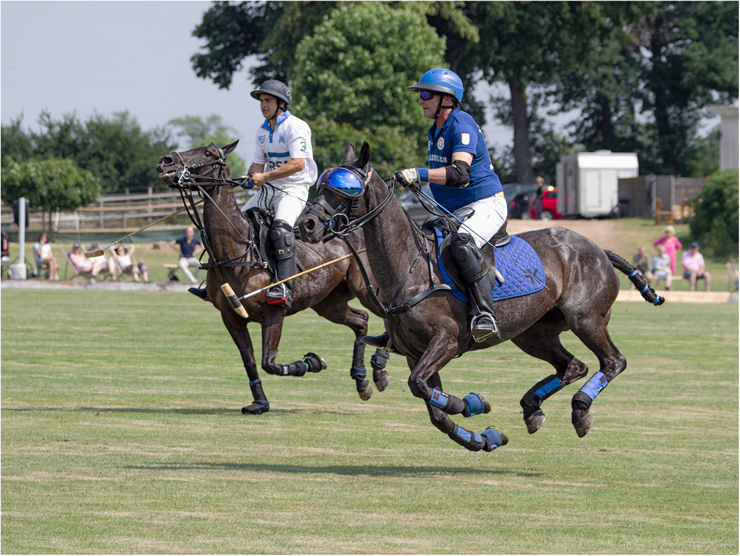 Impressionen vom Polo