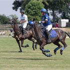 Impressionen vom Polo