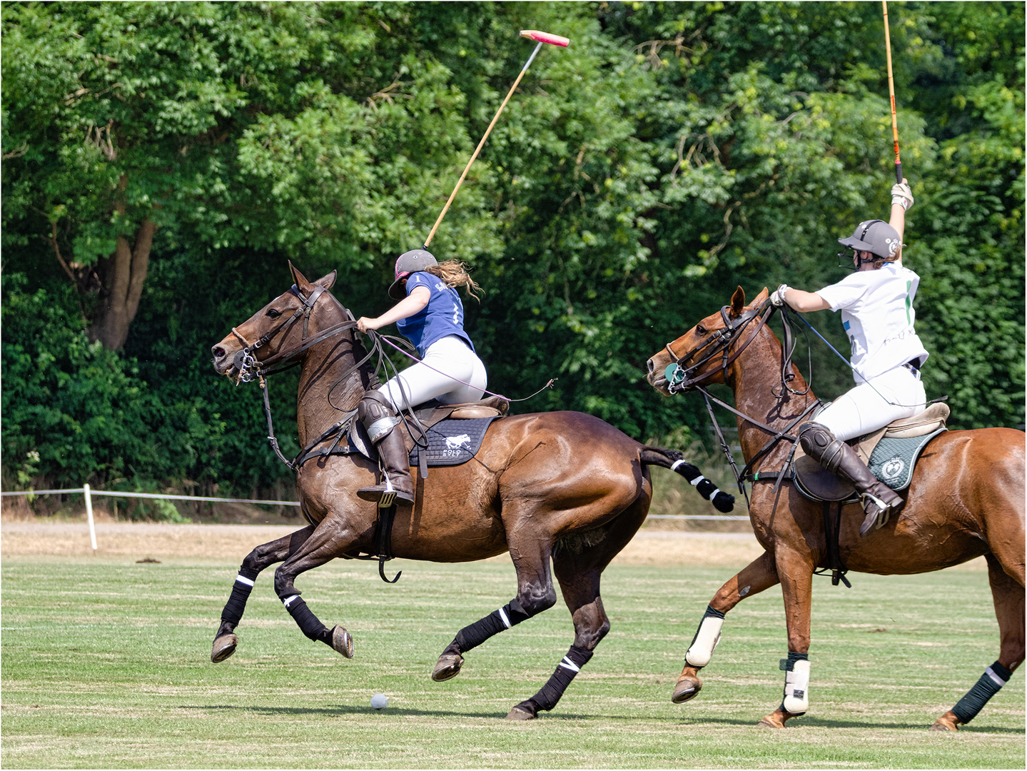 Impressionen vom Polo