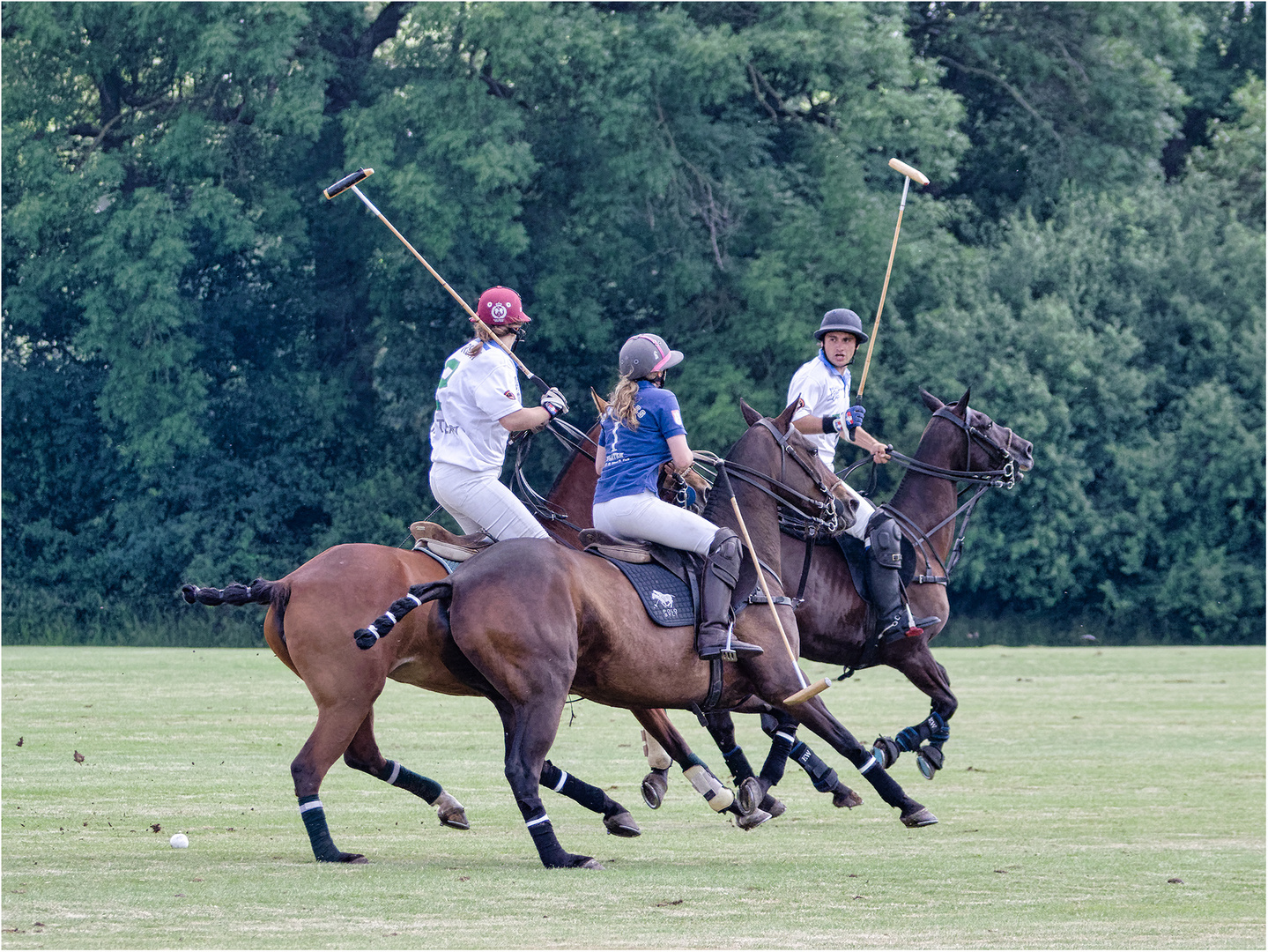 Impressionen vom Polo