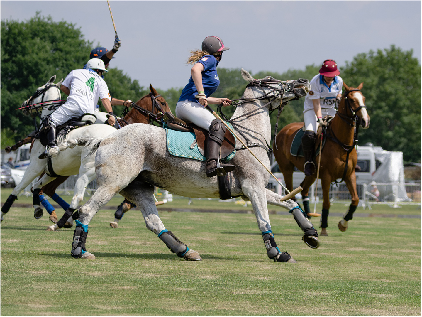 Impressionen vom Polo