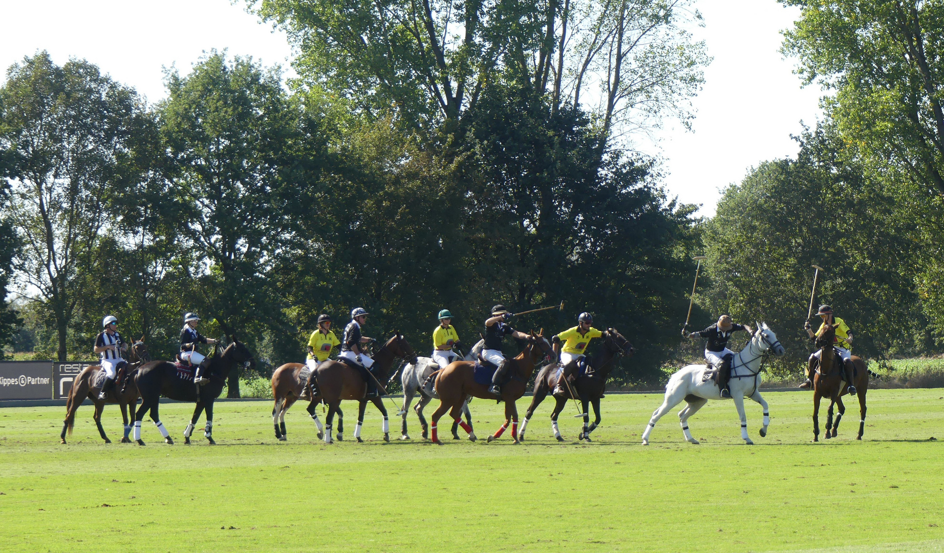 Impressionen vom Poloturnier September 2019 In Willich/Rheinland