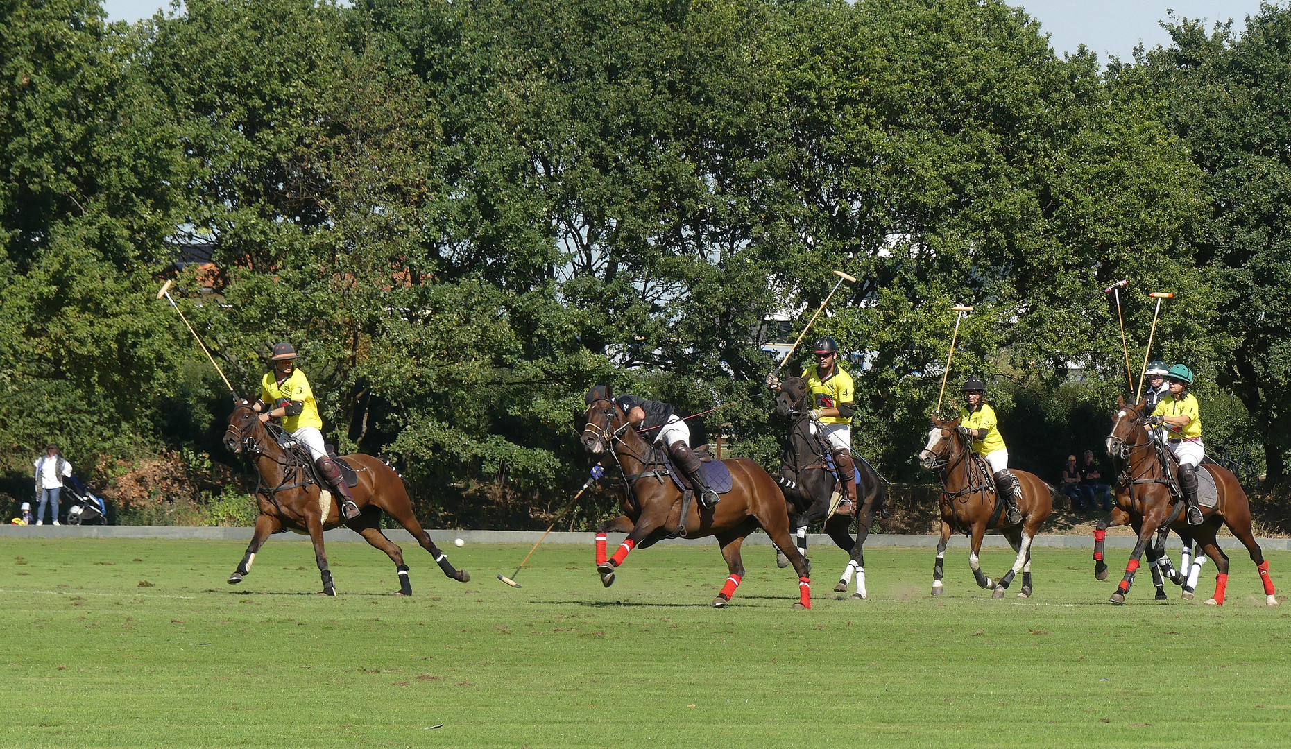 Impressionen vom Poloturnier September 2019 in Willich/Rheinland