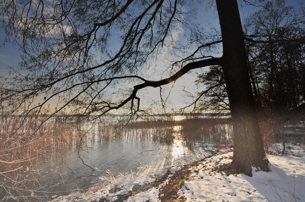 Impressionen vom Rangsdorfer See..........