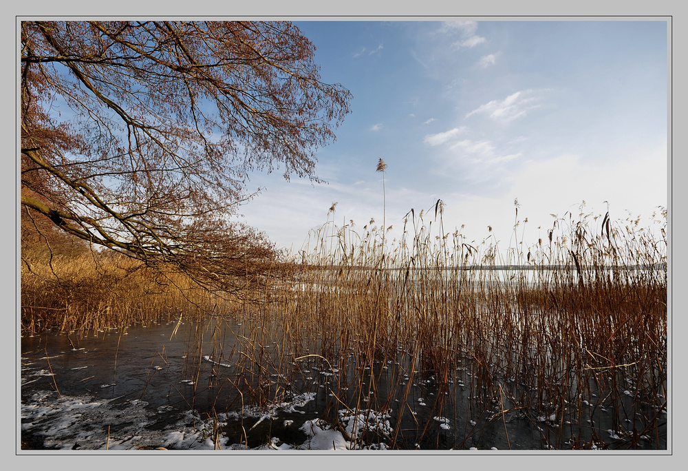 Impressionen vom Rangsdorfer See........