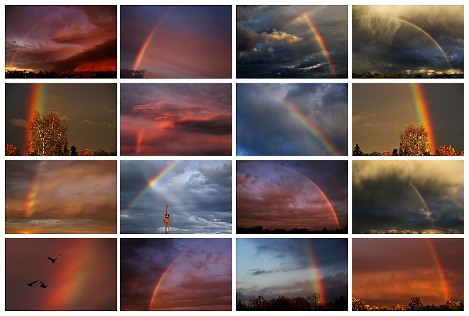 Impressionen vom Regenbogen