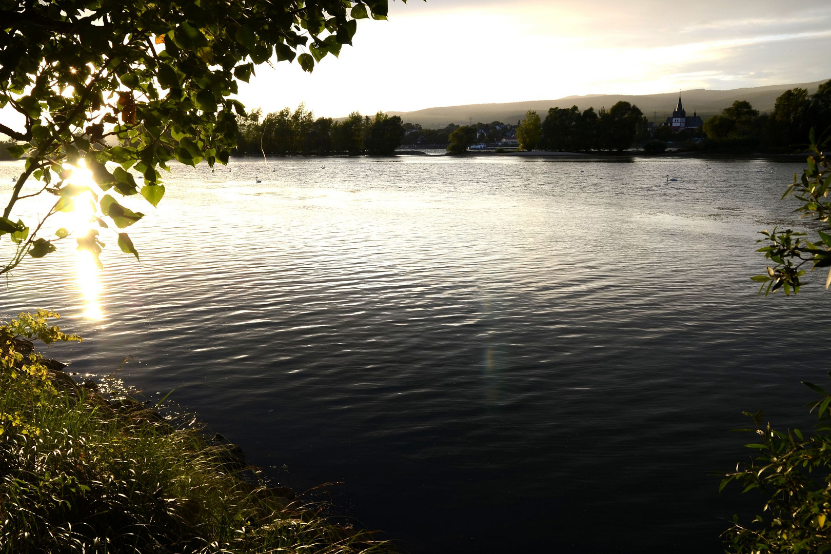 Impressionen vom Rhein (1)