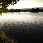 Impressionen vom Rhein (1)