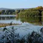 Impressionen vom Rhein (3)