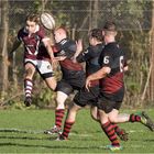 Impressionen vom Rugby