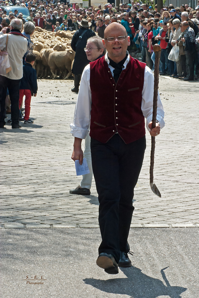 "Impressionen vom Schäferlauf Münsingen"