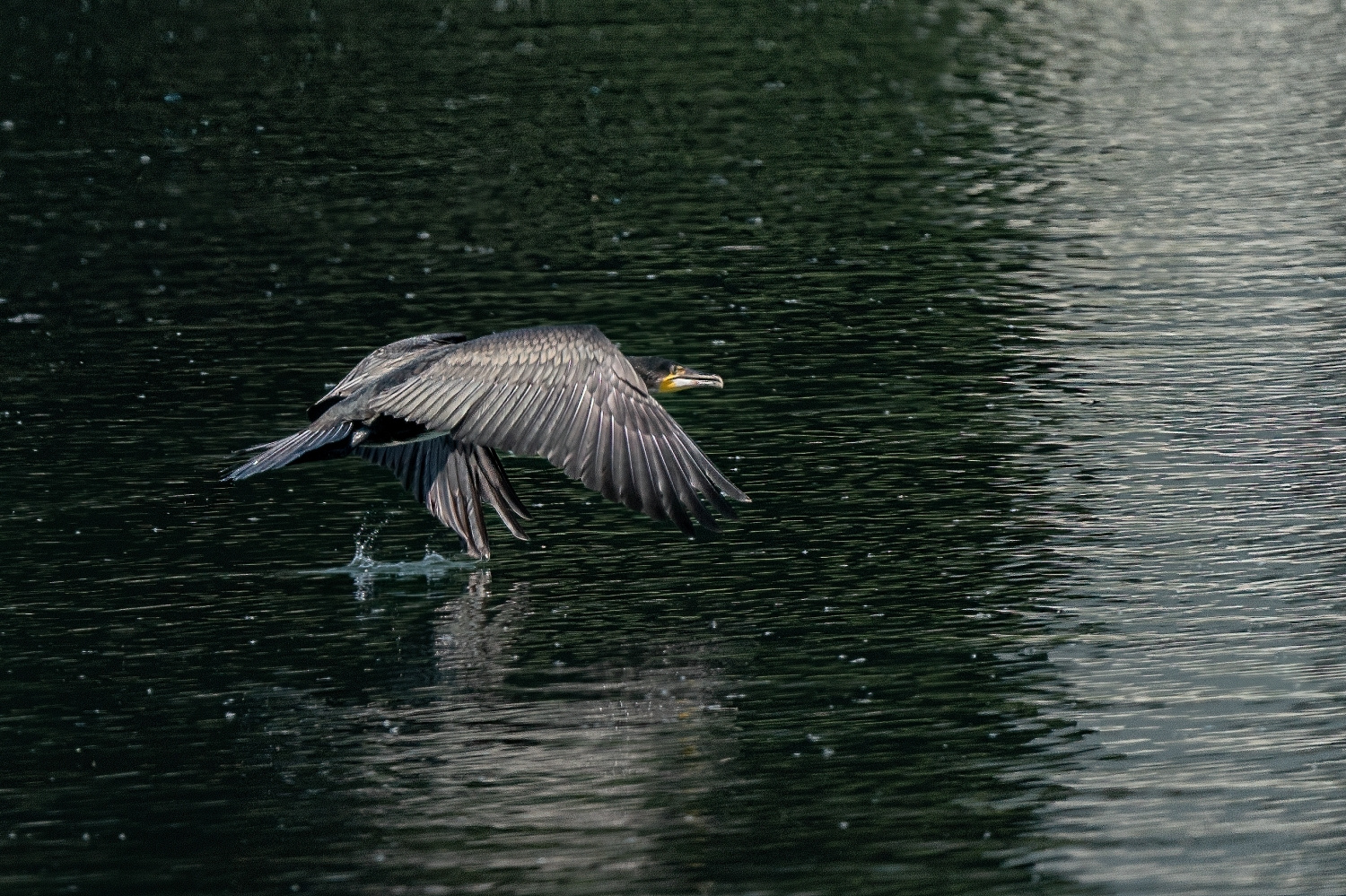 Impressionen vom See