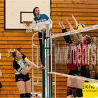 Impressionen vom Volleyball