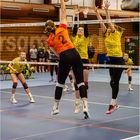 Impressionen vom Volleyball