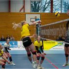 Impressionen vom Volleyball