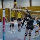 Impressionen vom Volleyball